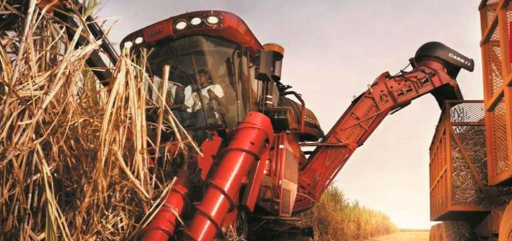 Producción de azúcar de Brasil sería la menor en 12 años y similar a la del próximo año: Datagro
