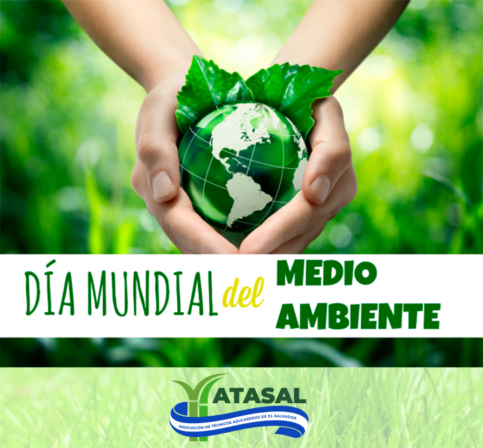 Felíz Día Internacional del Medio Ambiente