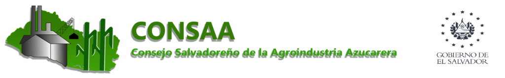 Comunicado del CONSAA
