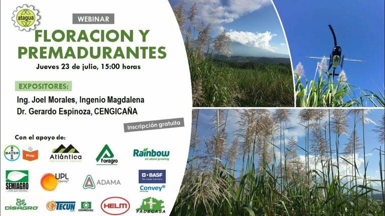 Webinar «Floración y Premadurantes»